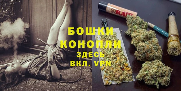 PSILOCYBIN Балабаново