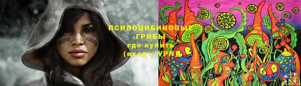 герыч Аркадак