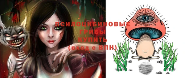 ПСИЛОЦИБИНОВЫЕ ГРИБЫ Балахна